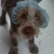 Foto von Ted Mika