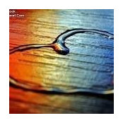 Jennifer Murphy's photo