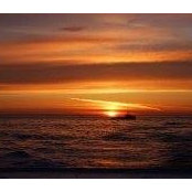 Francie Clory's photo