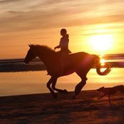 Judith Bangemann's photo