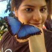Vini Arora's photo