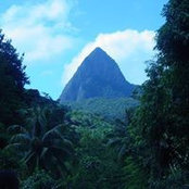 Foto von Donna DiSando