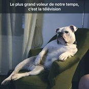 Foto von Salomé Pavy