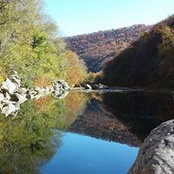 Cindy Hayes's photo