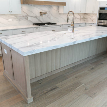 Modern Farmhouse Modified Hampton | Oak Bluff Estates Lemont, IL