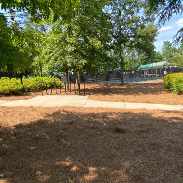 Pine straw