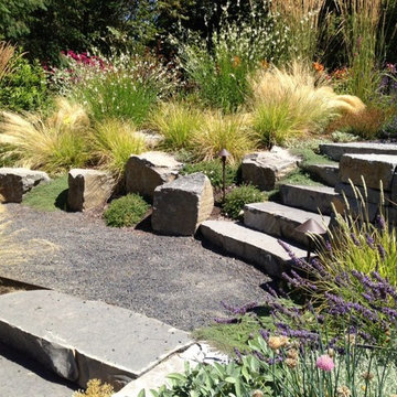 Audubon Certified Backyard Habitat