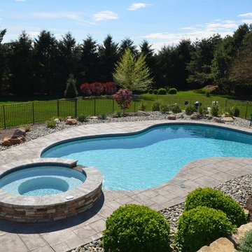Freeform style in-ground salt water pool with raised spa