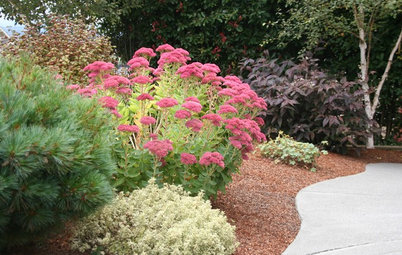 Pacific Northwest Gardener's August Checklist