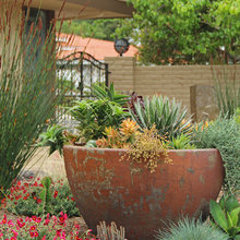 Garden and Landscape