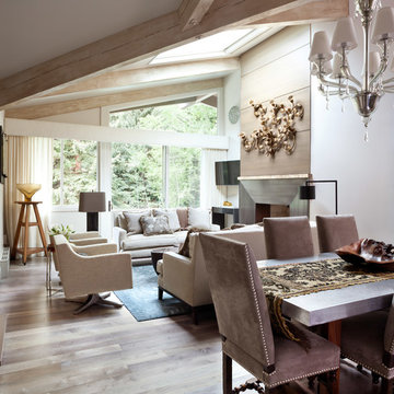 Aspen Alps Condominium Remodel