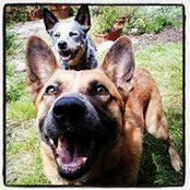 Foto von Caroline Fox