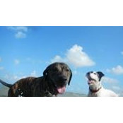 Kendra Bailey's photo