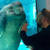 Brian Genisio's photo