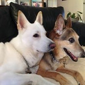 Photo de Geraldine Orr