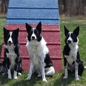 Foto von Susan Heckelman