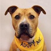 Dana Haveson's photo