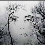 Mari Anns foto