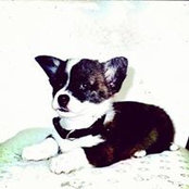 Joyce Ruiz's photo
