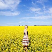 Kat Hayes's photo