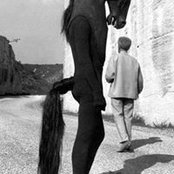 Deurti White Foal's photo