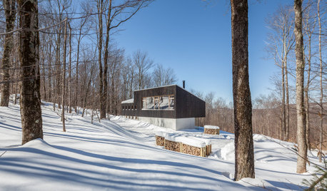 Architecture : Une maison moderniste en forêt aux États-Unis