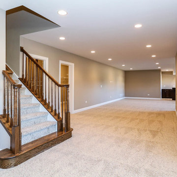 The Sierra Modified | Tamarack South | Naperville, IL