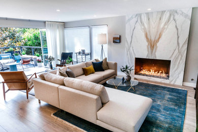 Transitional living room photo in San Diego