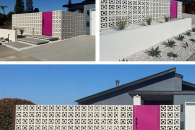 Mid-sized trendy home design photo in San Diego