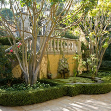 Landscape Ideas