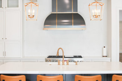 Kitchen - transitional kitchen idea in Houston