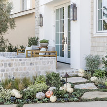 Front yard