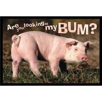 Animal Pig Bum Poster, Black Framed Version