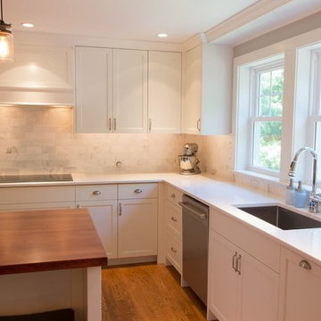 Blue Bell Kitchen Renovation