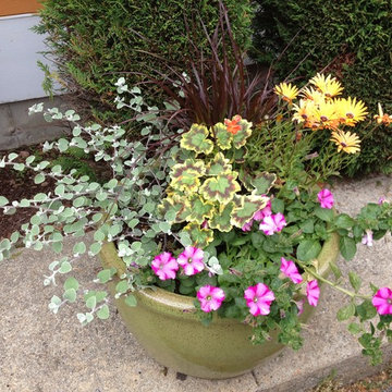 Seasonal Container Plantings & Changeovers