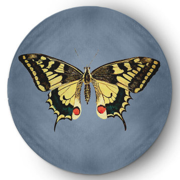 Rare Swallowtail Butterfly Novelty Chenille Area Rug, Dusty Smoke Blue, 5' Round