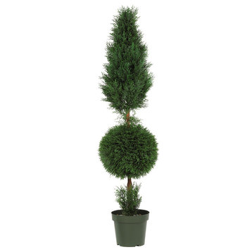 5' Indoor and Outdoor Cypress Ball and Cone Silk Tree
