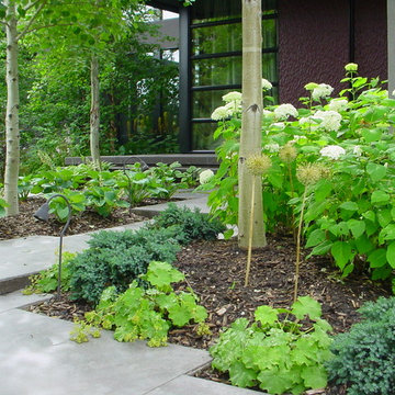 The Raspberry Patch