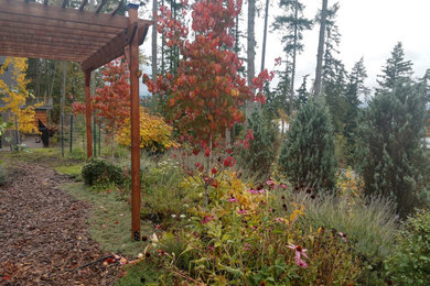 Design ideas for a landscaping in Seattle.