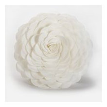Stephanie's room