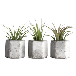 Contemporary Indoor Pots And Planters by frae + co.