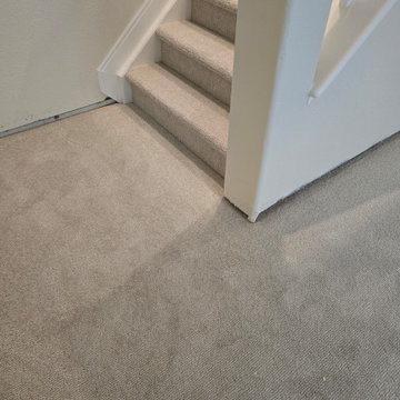 Basement Subtle Clay Carpet