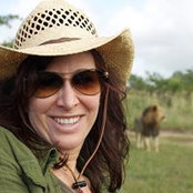 Maileen Cohen's photo