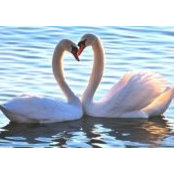 MaryJo Lone's photo