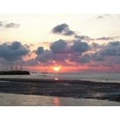 Marcelino Gonzalez's photo