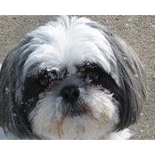 Robin Boyd's photo