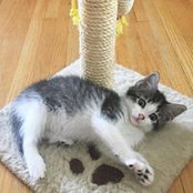 Colette Schlampied's photo