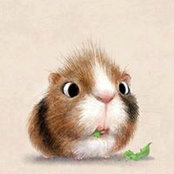 Златко Петров's photo