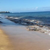 Jill Dineen's photo