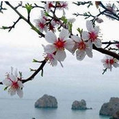 Micheline Cece's photo